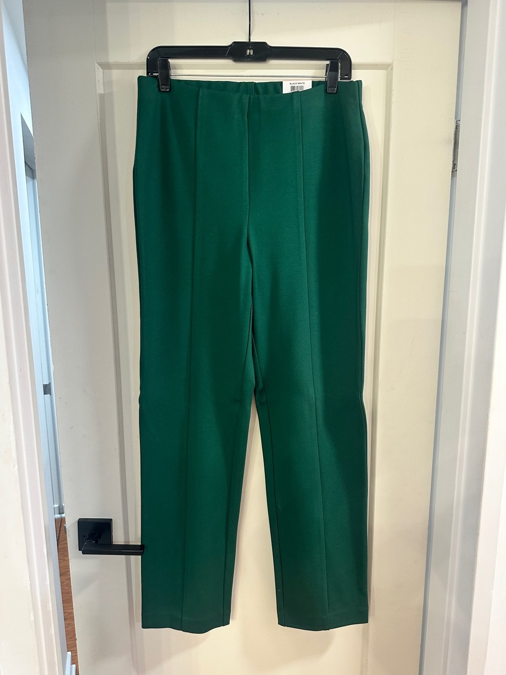 Alfani Green Straight Leg - Size 10